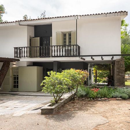 Rose Willow, Vourvourou #Feelslikehome Exterior photo