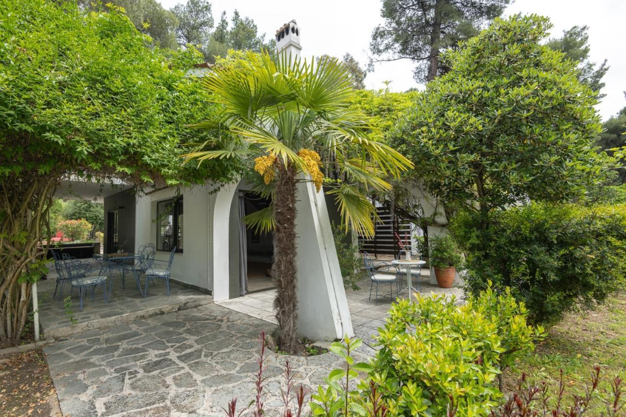 Rose Willow, Vourvourou #Feelslikehome Exterior photo